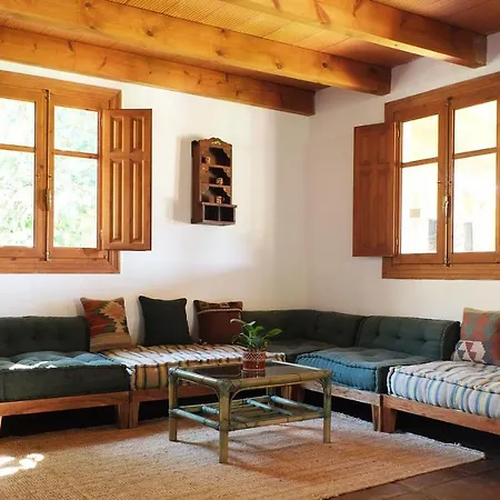 The Wild Olive Andalucia Agave Guestroom Farm stay