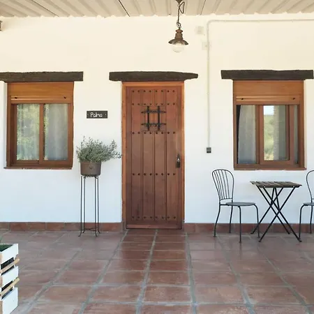Farm stay The Wild Olive Andalucia Agave Guestroom Casares